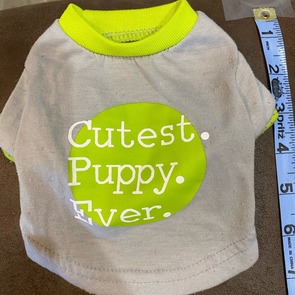 Gray and Green Puppy Shirt